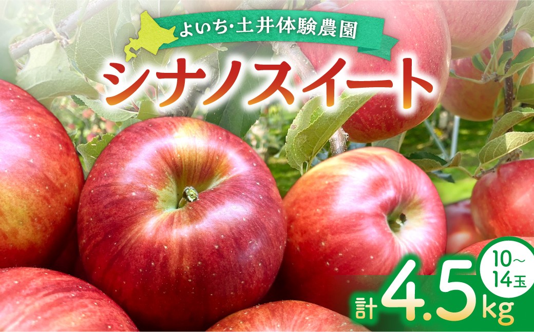 
                  【先行予約：2026年11月上旬以降発送】爽やかな甘み！余市産りんご シナノスイート 4.5kg ジューシー 酸味控えめ
                