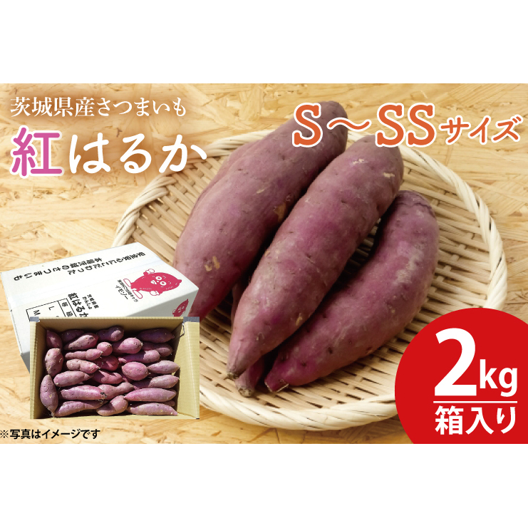 【数量限定】紅はるかS～SSサイズ2kg箱【さつまいも 芋 いも  焼き芋 焼芋 やきいも 水戸市 茨城県 3000円以内】（KE-2）