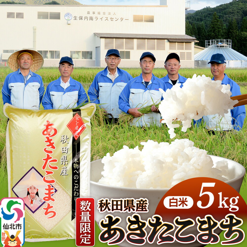 【ふるさと納税】【白米】あきたこまち 5kg（5kg×1袋）精米 秋田県仙北市産 5キロ