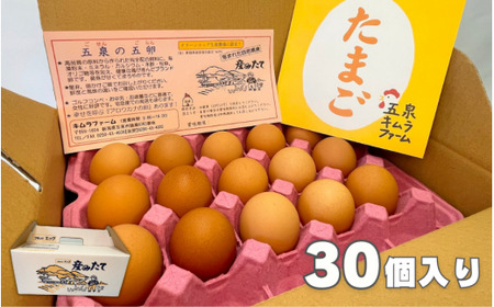 卵 定期便 6ヶ月 赤たまご 30個 産みたて たまご 