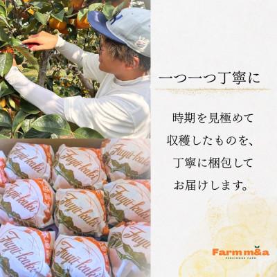 ふるさと納税 大野町 甘くておいしい岐阜の柿【富有柿】 L×14個 秀品 岐阜県 大野町(2025年11月下旬〜発送) |  | 02