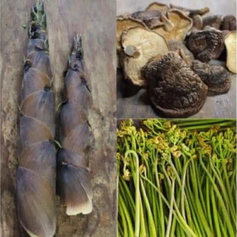 【2026年5月下旬以降に配送予定】 森田醤油醸造元 山菜おかず味噌 300ｇ×３ / 岡山真庭 山菜味噌 もろみ味噌 金山寺みそ 真庭産 食べる味噌 人気 ご飯にかける 調味料 生野菜 ビールに合う