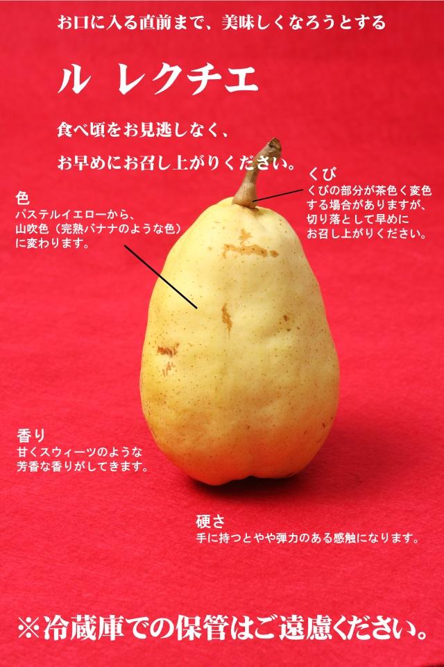 【2025年先行受付】新潟県産 西洋梨 ル・レクチェ 贈答用2kg 期間限定2025年12月上旬～12月下旬まで出荷予定