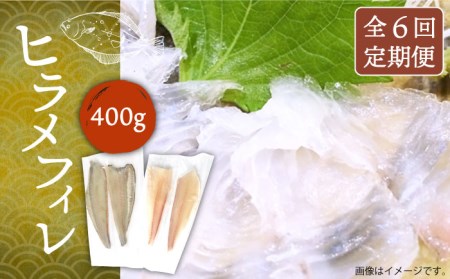 【全6回定期便】ヒラメ フィレ 1kg台（約400g）《壱岐市》【なかはら】 [JDT037] 162000 162000円 ヒラメ ひらめ 鮃 フィレ 刺身 刺し身 鯛刺し ヒラメ刺し ヒラメ刺身 