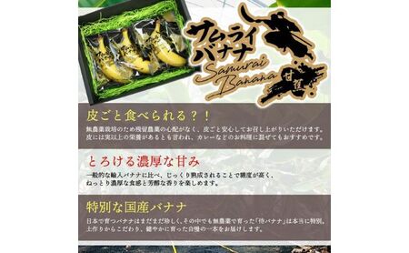 高知県産 侍バナナ｜無農薬・国産・農家直送 手のひらサイズ 3本 贈答用 バナナ フルーツ 果物 ギフト 冷凍フルーツ バナナ サムライ スムージー ふるさと納税