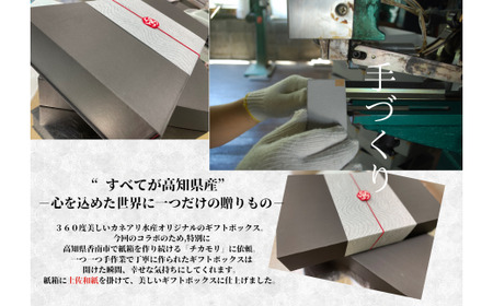 【四国一小さなまち】 ★カネアリ水産★ 幻の塩たたき ～ わら焼きカツオのたたき２節 × 田野屋塩二郎の塩２袋 ～