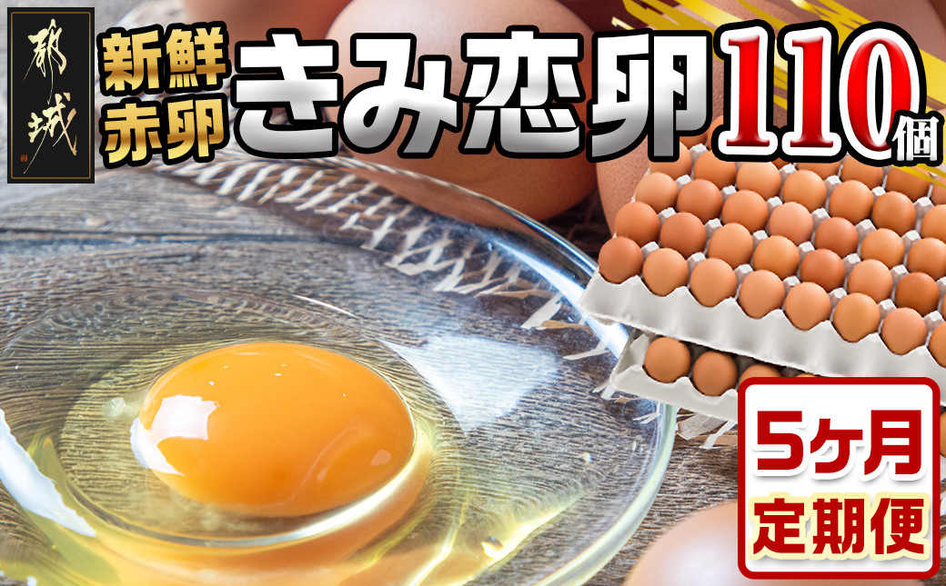 
「きみ恋卵」110個定期便(5ヶ月)_T40（5）-2901_(都城市) 赤卵 きみ恋卵 Ｍサイズ 110個 約6.5kg
