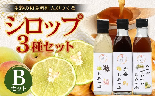 【先行予約・数量限定】日本料理人が作る シロップ 3種類 Bセット/辺塚だいだいシロップ・梅シロップ・生姜シロップ (各240ｇ×1瓶) GN-15｜鹿児島県 南大隅町 果物 うめ ショウガ しょうが フルーツ シロップ 希釈 甘み 酸味 甘さ控えめ お菓子づくり 手づくり 新鮮 旬  銀シャリ中はら
