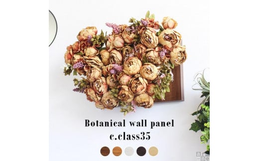 Botanical c.class 35　ダークブラウン