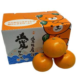 2月下旬頃より発送】 先行予約 せとか 約 2.5kg 家庭用 みかん 柑橘 果物 フルーツ 松山市 愛媛県 【TMN103_x】