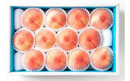 【先行予約】和歌山県産の美味しい桃 　11～15玉入り【2025年6月中旬頃から順次発送予定】 和歌山 もも モモ 桃 ギフト 贈り物 プレゼント 夏ギフト 果物 フルーツ 人気 産地直送 和歌山県 