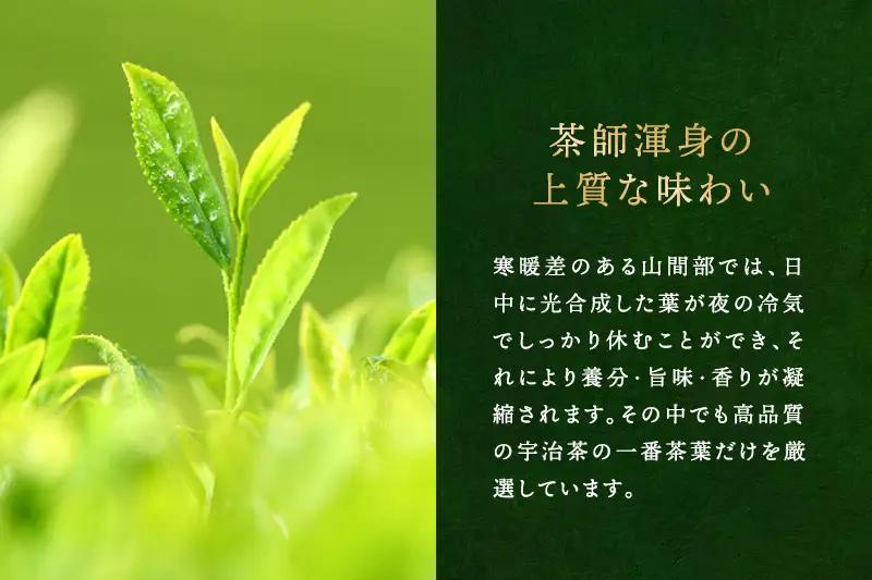 宇治深蒸し煎茶「松の匠」1kg（250g×4本）〈煎茶 緑茶 深蒸し