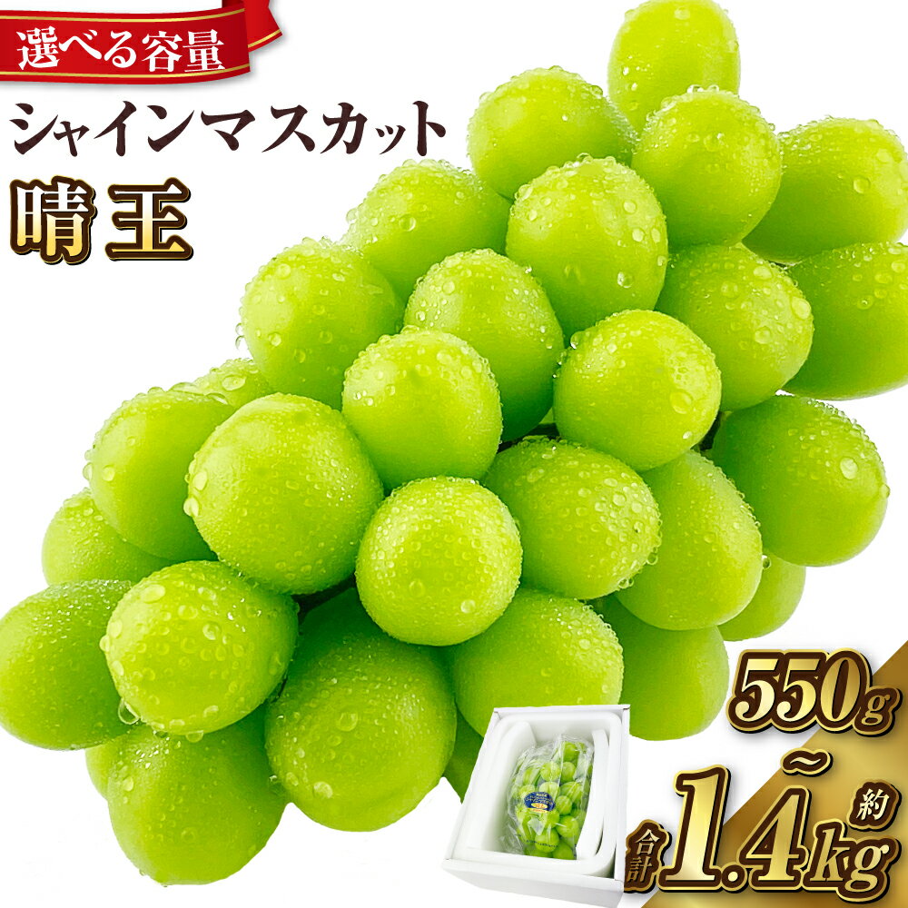 【ふるさと納税】 シャインマスカット晴王 1房～2房 約550g～約1.4kg ＜選べる容量＞2025年 先行予約受付中 岡山県産 種無し 皮ごと食べる みずみずしい 甘い フレッシュ 瀬戸内 晴れの国 おかやま 果物大国 ハレノフルーツ【2025年9月上旬-10月下旬 発送予定】