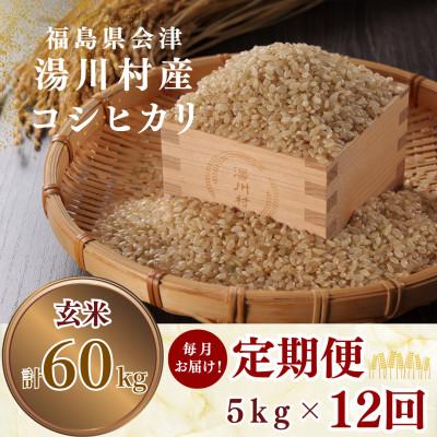 ふるさと納税 湯川村 【発送月固定定期便】湯川村産コシヒカリ 玄米5kg(R8.10月-12月・R9.1月-9月)全12回