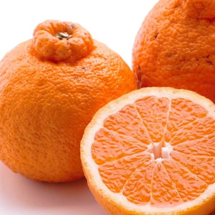 ＜2月より発送＞厳選 不知火7.5kg+250g（傷み補償分）◇【デコポンと同品種・人気の春みかん】