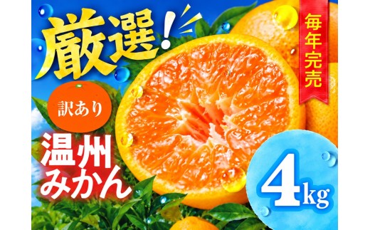 温州みかん ご家庭用 4kg 訳あり わけあり 4キロ みかん ミカン 蜜柑 mikan 柑橘 旬 フルーツ 果物 11000円 国産 豊橋産 愛知県 豊橋市