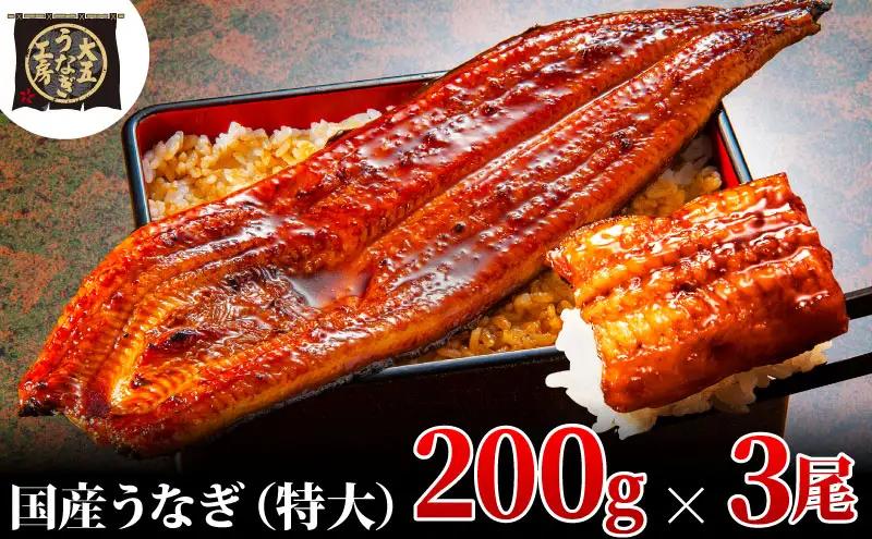 うなぎ 国産 蒲焼 200g×3尾 600g 大五 大五通商 うなぎ