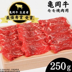 亀岡牛 モモ焼肉 250ｇ☆祝！亀岡牛 2023年最優秀賞（農林水産大臣賞）受賞≪和牛 牛肉 冷凍 焼肉 牛肉 焼肉 牛肉 焼肉 牛肉 焼肉 牛肉 焼肉 牛肉 肉 牛肉 焼肉 牛肉 焼肉 焼肉 和牛 牛肉 焼肉 黒毛和牛 焼肉 国産 牛肉 焼肉 国産牛 牛肉 焼肉 国産 牛肉 焼肉 京都府産 牛肉 焼肉 丹波産 牛肉 焼肉 焼肉 牛肉 焼肉 焼き肉 牛肉 牛肉 焼肉 牛肉 焼き肉 肉牛 ふるさと納税 牛肉 焼肉 ふるさと納税 牛肉 焼肉 牛肉≫