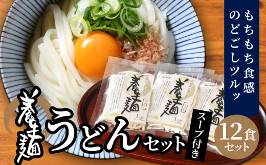 
                  養生麺うどん詰合せ 12袋入り - こんにゃく麺 木城町名物 養生麺(ようじょうめん) 生麺 細うどん ざるうどん 粉末スープ 出汁付き 食物繊維を含んだヘルシーな麺 のどごし モチモチ ツルッ 詰め合わせ_K10_0002_3
                