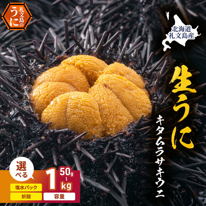 【ふるさと納税】塩水と折を選べて容量も選べる 北海道 礼文島産 採れたて ミョウバン不使用 キタムラサキウニ 塩水パック 50g～1kg［株式会社やまじょう］【 うに ウニ 雲丹 生うに 塩水うに キタムラサキウニ 滅菌海水 海鮮 】　お届け：2026年5月～9月末まで