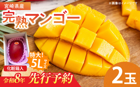特大5Lサイズ 宮崎県産 完熟マンゴー 2玉 化粧箱入り 令和8年発送分 期間限定 数量限定 フルーツ 果物 くだもの 国産 食品 デザート おすすめ ご褒美 贅沢 産地直送 特大 希少 お祝 お土産 プレゼント ギフト 贈り物 宮崎県 日南市 送料無料_E48-24