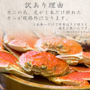 蒸し松葉ガニ 中3枚 ご自宅用 (1枚500～640g前後) ずわいがに カニ 訳あり TM8 0718