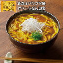 【ふるさと納税】高砂食品 青森ネバリゴシ麺カリーうどん10食　【 うどん 麺 カレー レトルト レトルト食品 セット 】