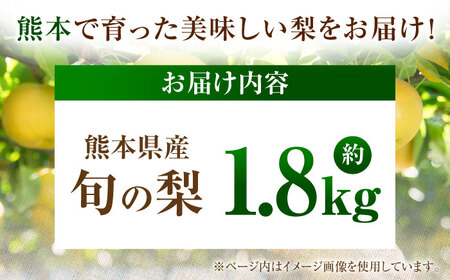 【先行予約】厳選おまかせ梨 約1.8kg 梨 豊水梨 秋月梨 新高梨 果物 フルーツ 【日本フルーツ株式会社】[ZFJ065]