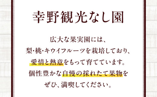 キウイフルーツ 【2026年12月中旬から2027年2月上旬にかけて順次発送】（20個～27個入り） 旬 旬のフルーツ 美味しい おいしい 甘い スイーツ デザート ビタミン 大容量 家庭用 愛媛県大洲市/幸野観光なし園 [AGBD004] 先行予約 予約 キウイ キウイフルーツ 果物 くだもの フルーツ 愛媛県産 おすすめ 人気 お取り寄せ 送料無料 贈答 ギフト