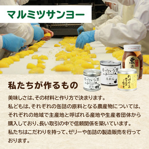 九州福岡工場直送！訳あり缶詰お楽しみ福箱 007-025