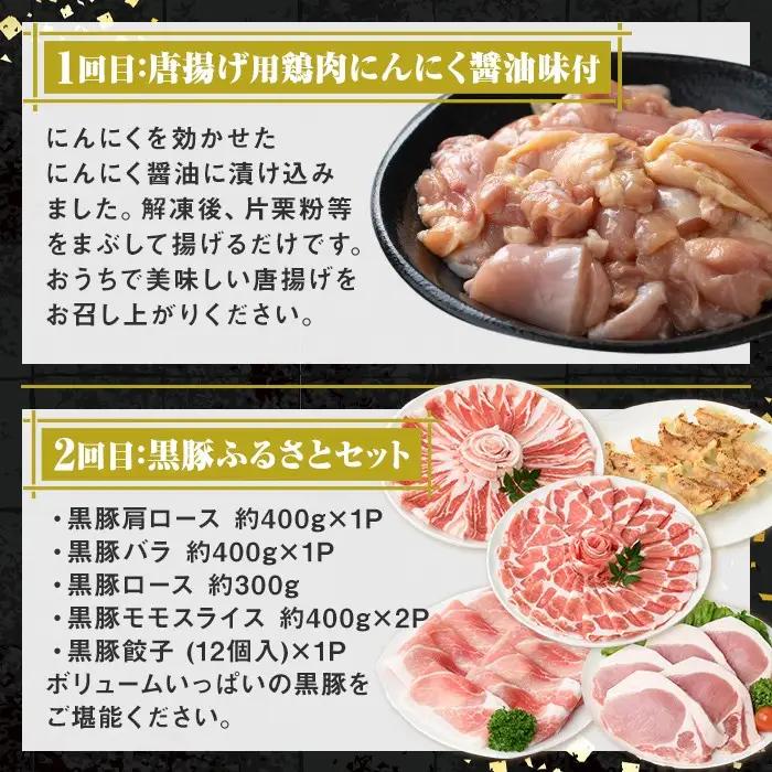 ＜定期便・全3回＞肝付町セレクト定期便《肉だらけ定期便A》 鹿児島 牛肉 黒毛和牛 豚肉 黒豚 鶏肉 唐揚げ 味付け 定期便 セレクト 加工品 肉加工品 簡単調理 冷凍 冷凍食品 【株式会社きもつき未