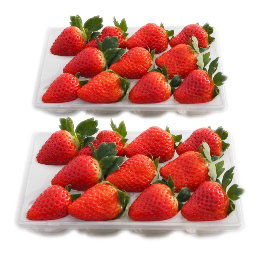 ＜奈良のいちごやさん＞苺「古都華」（中サイズ）9～15粒x2パック（計18～30粒）【3ヵ月定期便】