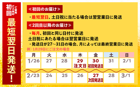 【定期便11ヶ月】キリン一番搾り生ビール 500ml（24本）＜北海道千歳工場産＞