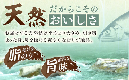 天然あゆ 19〜22cm 5匹【スピード配送】/ 恵那市 / 恵那物産館 [AUFS009]