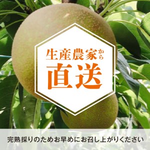 完熟採り　もりやま梨（幸水）3キロ