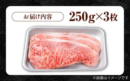 佐賀牛 贅沢サーロインステーキ 250g×3枚（計750g） /肉 牛肉 佐賀牛 佐賀県産和牛 ブランド牛肉 肉 牛肉 佐賀牛 国産牛肉 上質な肉質 贅沢な牛肉 サーロインステーキ 肉 牛肉 佐賀牛 