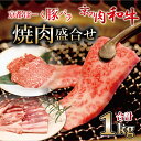 【ふるさと納税】京都ぽーくと京の肉和牛焼肉盛合せ 1kg ミートショップひら山 焼き肉 BBQ 冷凍 食べ比べ セット商品 ギフト アウトドア ※北海道・沖縄・その他離島は配送不可