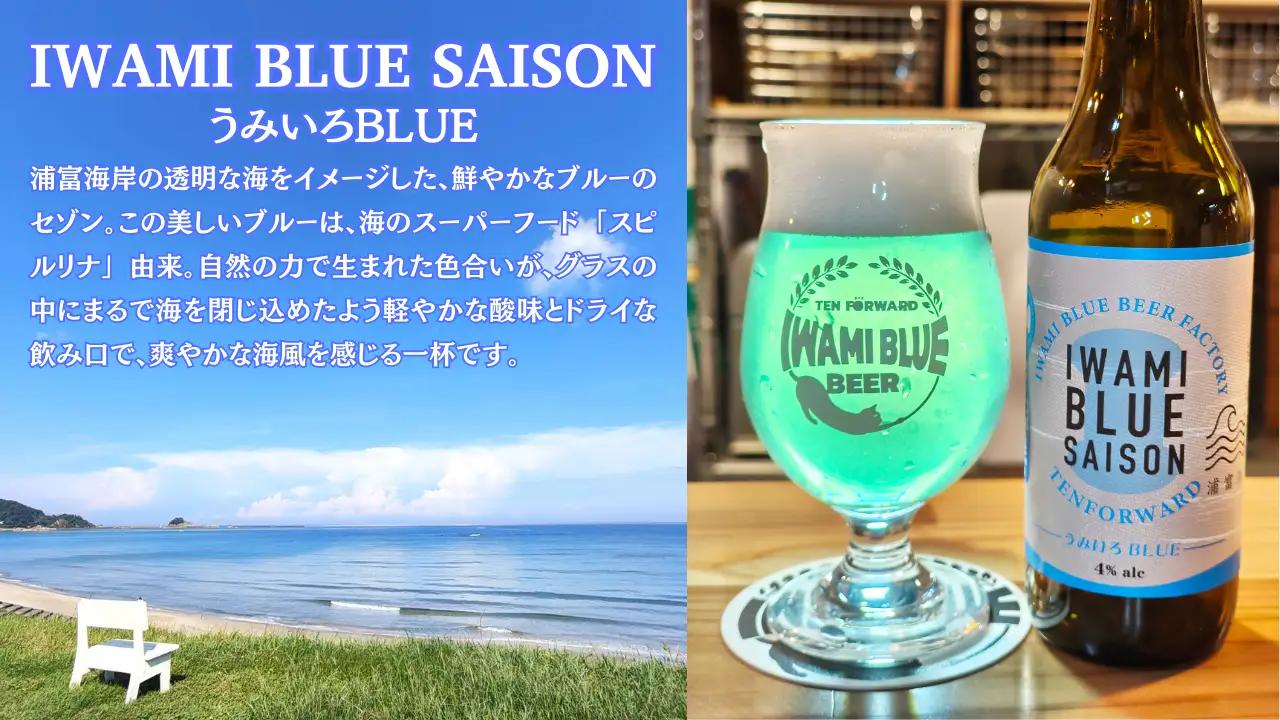 IWAMI BLUE BEER 定番2種セット 6本（各3本）｜鳥取 岩美町 クラフトビール お酒 ビール【51020】