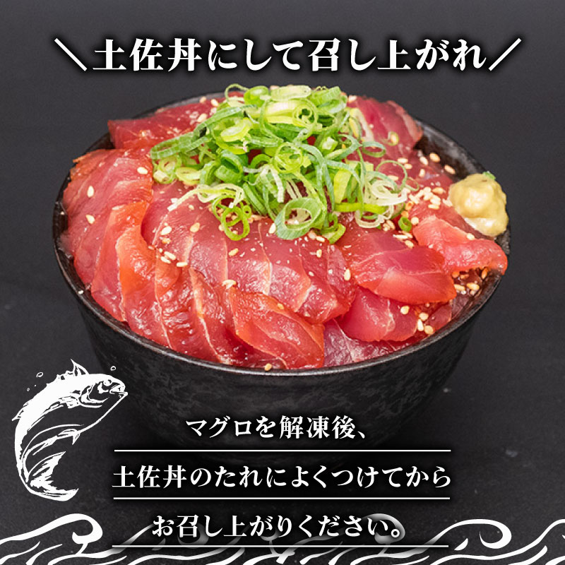 キハダマグロ 赤身 1kg 土佐丼 たれ セット