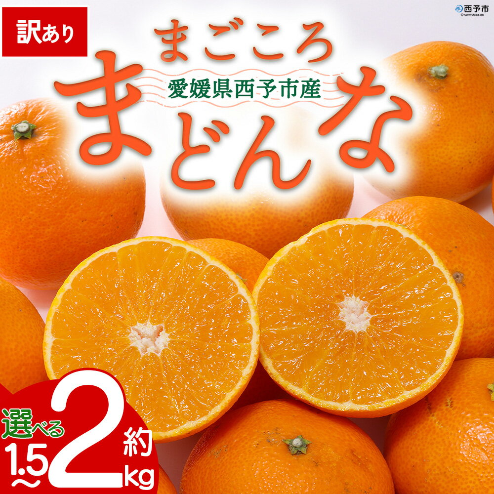 【ふるさと納税】【先行予約】＜訳あり 愛媛県産 まごころまどんな 約1.5kg／2kg＞ 『2026年11月以降順次出荷予定』ご家庭用 ご自宅用 紅まどんな マドンナ お試し わけあり 果物 柑橘 フルーツ 高級 国産 濃厚 産地直送 ミヤモトオレンジガーデン 愛媛県 西予市【常温】