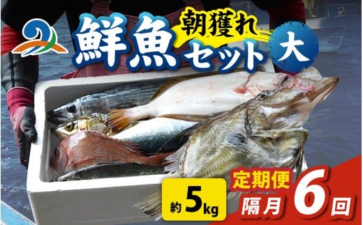 【定期便　隔月６回】【朝獲り】漁師厳選 鮮魚セット (大) 5種類以上 約5kg 魚 詰め合わせ 新鮮 煮物 焼き物 お造り 刺身 晩酌 食卓 BBQ 急速冷凍 真空パック 鮮魚セット 詰合せ 鮮魚店 厳選 お任せ 鮮度 産直 海鮮 加熱用 福井県 南越前町 越前 盛り合わせ おまかせ お楽しみ おつまみ おかず ご飯のお供 送料無料 