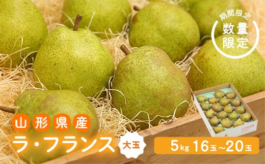 《先行予約 2026年度発送》【王将果樹園】ラ・フランス5kg～生産量日本一のまちより～  なし ナシ 梨 デザート フルーツ 果物 くだもの 果実 食品 山形県 FSY-2686