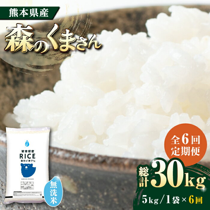 【ふるさと納税】《 新米先行予約 》【全6回定期便】2025年10月より順次発送 森のくまさん 無洗米 5kg【有限会社 農産ベストパートナー】[ZBP037] 無洗米 無洗 おすすめ 人気 熊本県 米 ご飯 ごはん 送料無料 グルメ