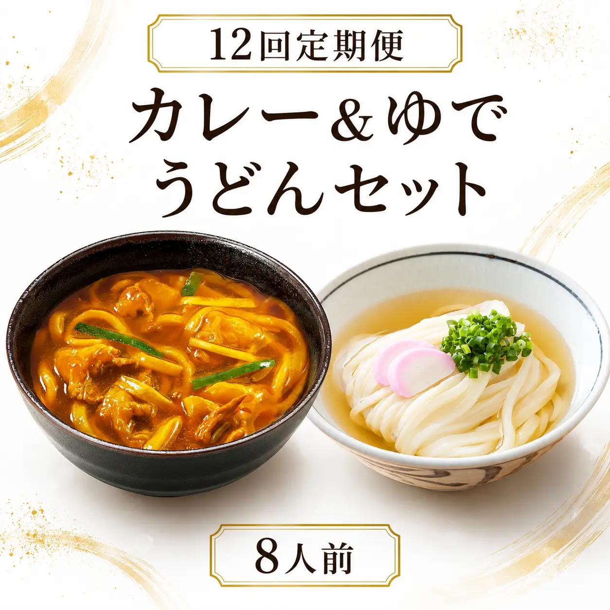 【定期便12回毎月】さぬきうどん ＆ カレーうどん セット 8人前 定期便 12回 出汁 スープ付き