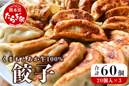 【餃子】 くまもとあか牛 100％ 餃子 計60個（20個×3パック） 冷凍 熊本県産 あか牛 ぎょうざ 惣菜 おかず 和牛 牛肉 お手軽 簡単 073-0403