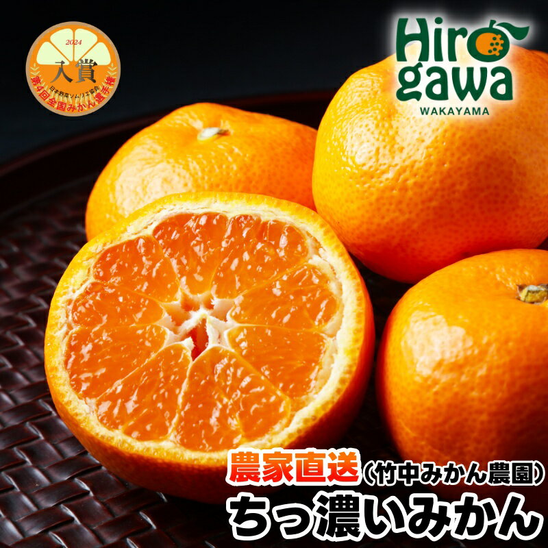 【ふるさと納税】 ちっ濃い 有田みかん 5kg 小玉 (2S～3S） 10000円 ※11月上旬～12月下旬に順次発送予定 / みかん ちっちゃい 早生 柑橘 果物 フルーツ くだもの 果実 //mandarin