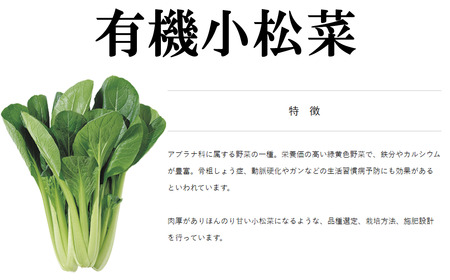 【3ヵ月定期便】すっぴん有機やさいセット(小松菜・水菜・ロメインレタス)【 茨城県 つくば市 定期 定期便 野菜 小松菜 ロメインレタス 野菜 水菜 鍋 鍋もの 野菜 やさい ベジタブル 野菜 有機野
