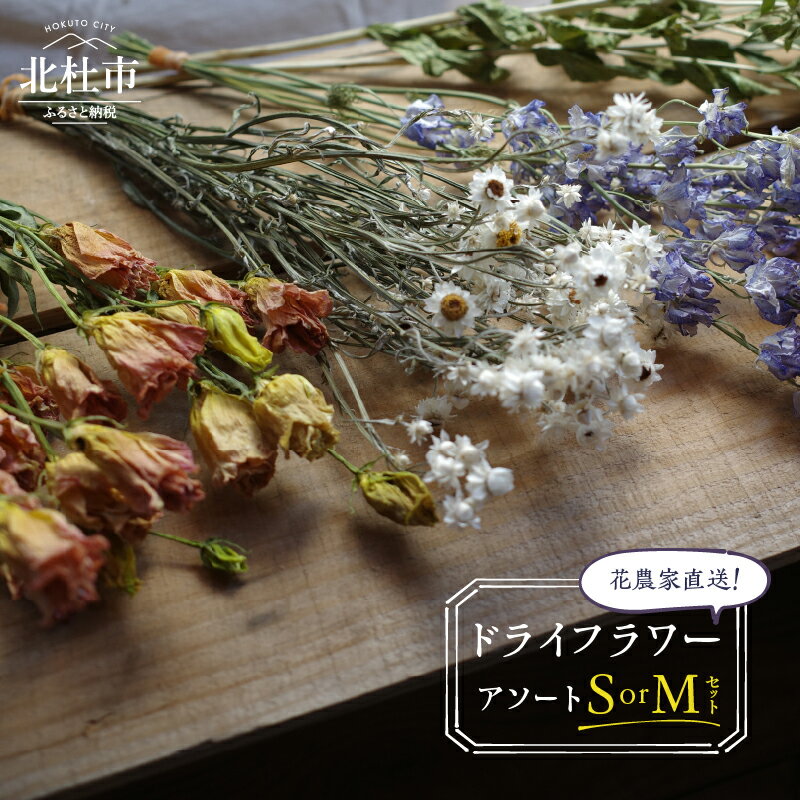 【ふるさと納税】 ドライフラワー アソート 選べる セット 35～60本 3～7種 花 花束 農家直送 期間限定 装飾 飾り インテリア アレンジメント ギフト 贈り物 送料無料