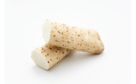 ながいも 約 10kg（6本～11本） | 野菜 やさい 長芋 ながいも 粘り お好み焼き ねばねば 食感 漬物 美容 長野県 塩尻市