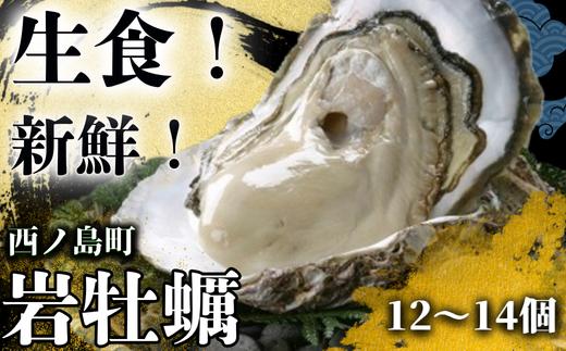 
                  【数量限定！】隠岐のいわがき 岩ガキ 12〜14個 隠岐のいわがき 島で採れるプリプリ大粒でクリーミーな味わいをぜひ
日時指定可能 大人気 大粒 牡蠣 カキ 岩ガキ 新鮮 おすすめ 人気 濃厚 クリーミー
                